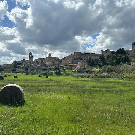 Armonia - * Spello