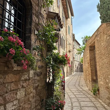 Armonia - Apartman Spello