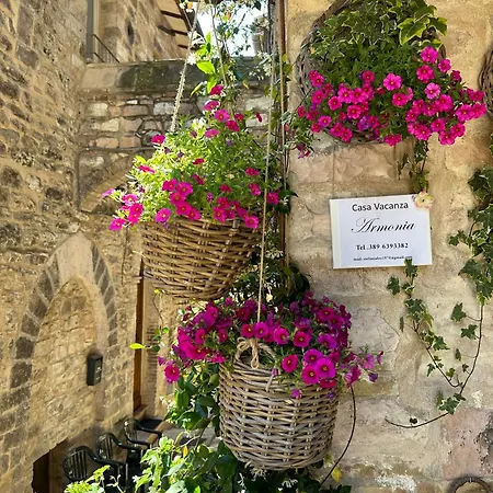 Apartment Armonia - Spello