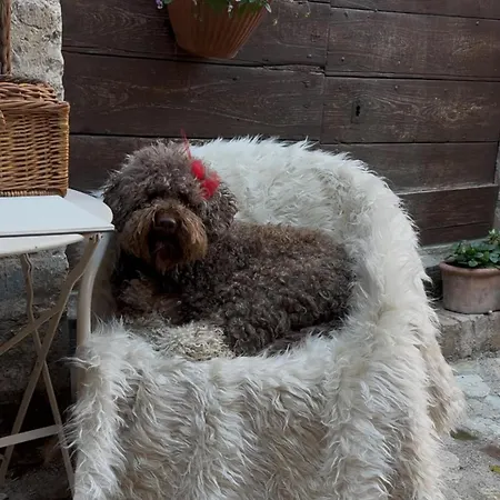 Armonia - Appartamento *