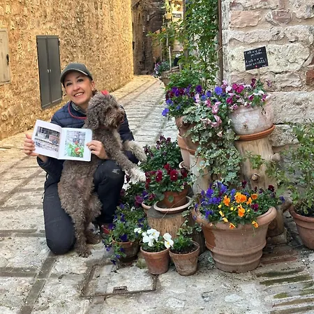 Armonia - Appartamento