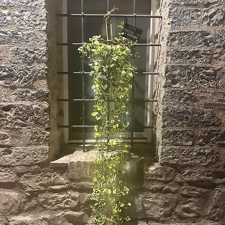 Armonia - Appartamento