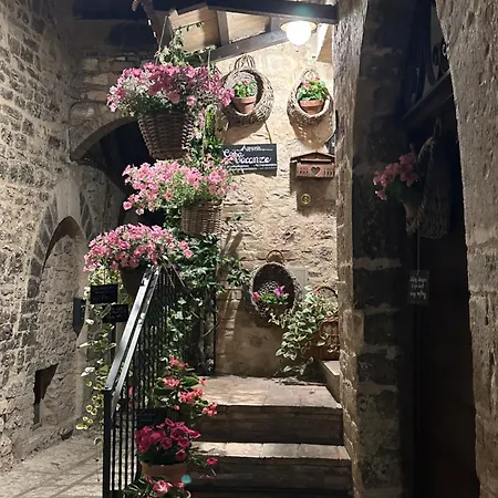 Armonia - Spello