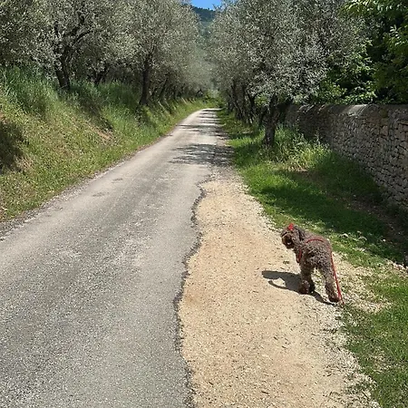 Armonia - Apartamento *