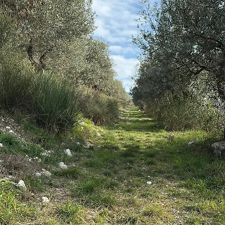 Armonia - Appartamento