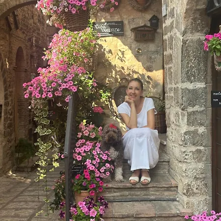 Armonia - * Spello