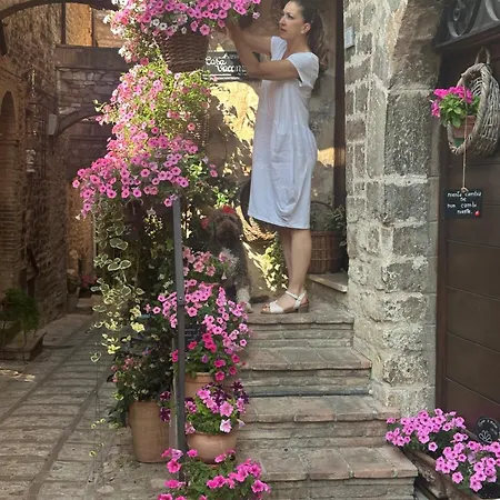 Armonia - Appartamento Spello