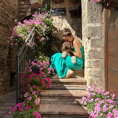 Appartement Armonia -