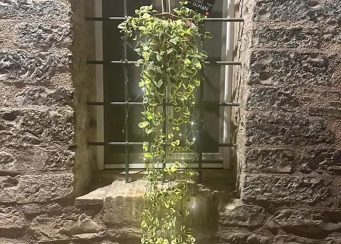 Armonia - Apartamento