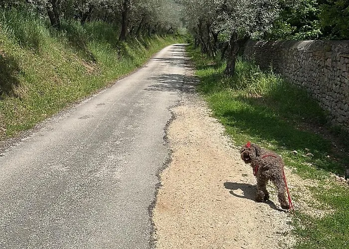 Armonia - Apartamento *