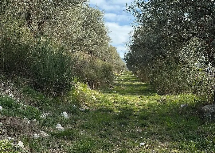 Armonia - Apartamento